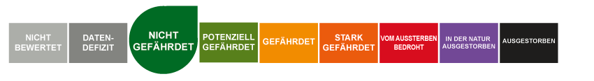 Gefährdungsstatus - nicht gefährdet