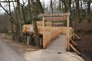 Barrierefreier Holzsteg zum Raubkatzenweg