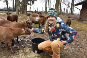 Namensgebung Kamerunschaf Lana / © Tierpark Stadt Haag, Herbert Stoschek