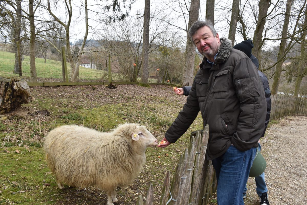 Namensgebung für Waldschaf Hansi ©Tierpark Stadt Haag/Herbert Stoschek