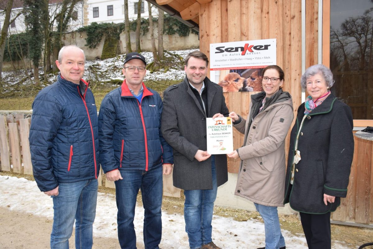 Firmenpatenschaft Alpaka