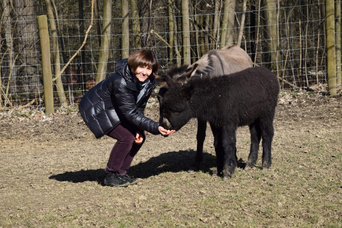 Namensgebung Zwergesel Melly