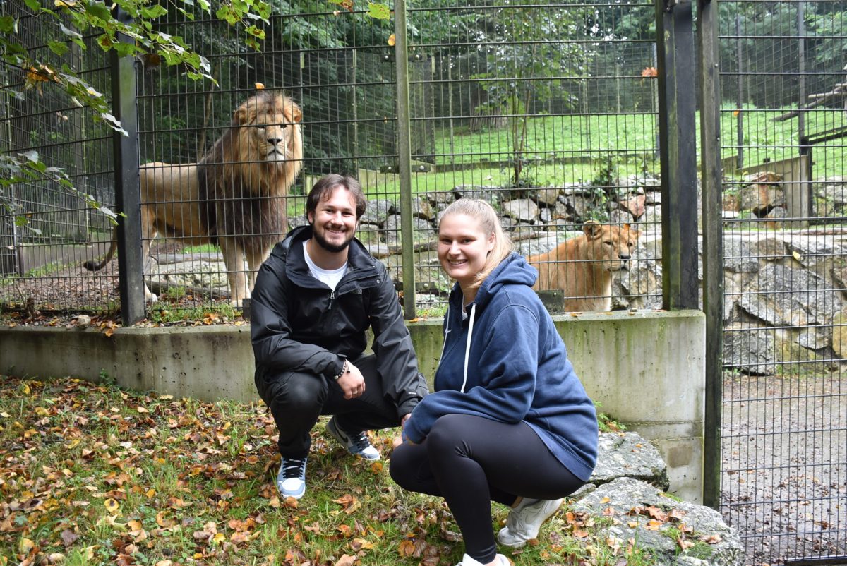 Namenspatronanz Mufasa / ©Tierpark Stadt Haag, Herbert Stoschek
