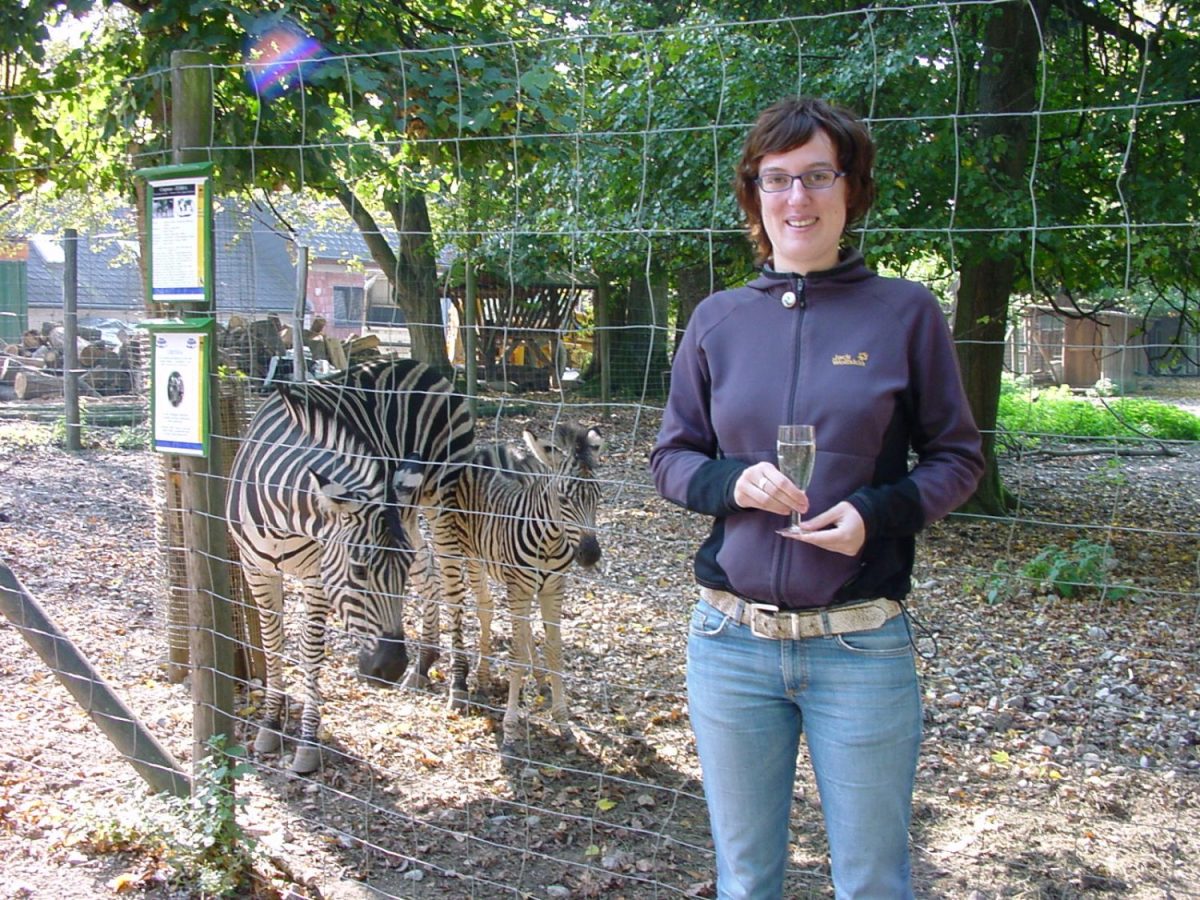 Zebra und Patin