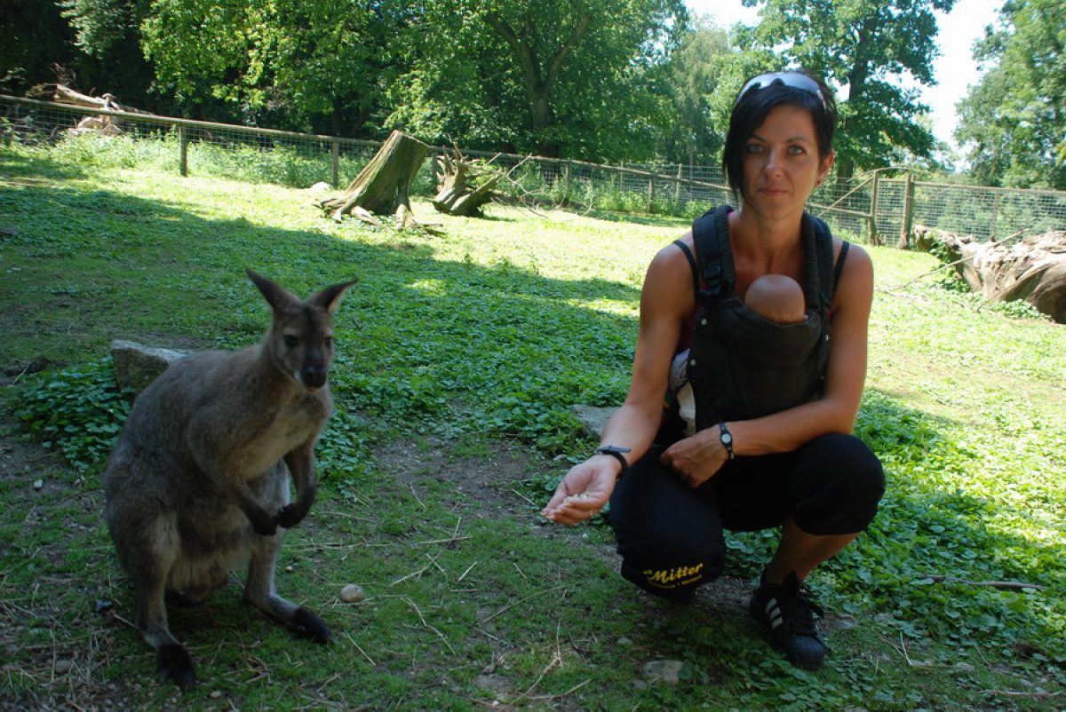 Namensgebung Känguru Kanga